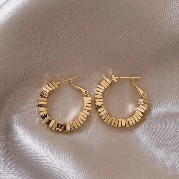 Gold Small Pieces Of Silver Niche Design Earrings - Image 6