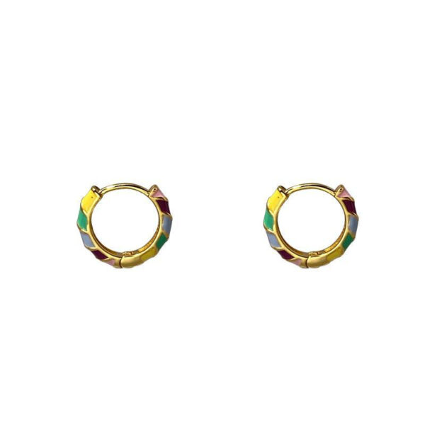 Ins Special-interest Design Small Diameter Dripping Color Ear Ring Simple - Image 5